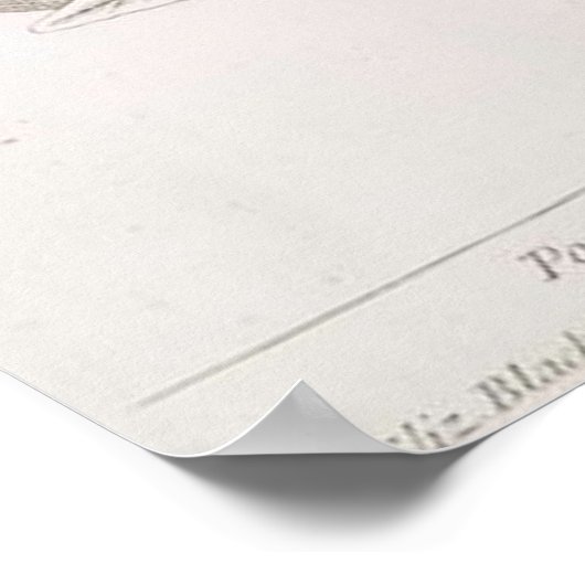 Poster de dessin botanique de grenade (Coin)