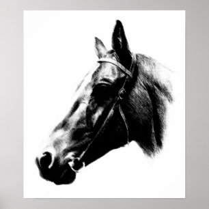 Poster de dessin Cheval Blanc Noir