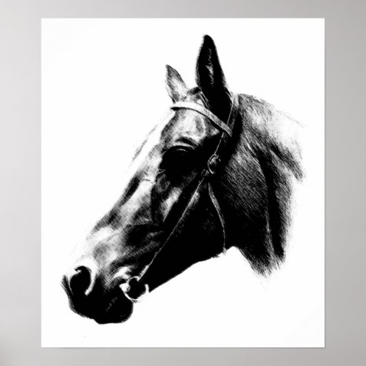 Poster de dessin Cheval Blanc Noir (Devant)