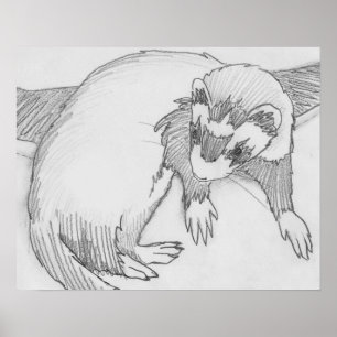 Poster de dessin de "bébé" Ferret