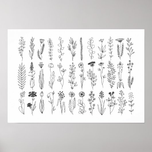 Poster De Dessin De Fleurs Et Herbes D'Encre (Devant)