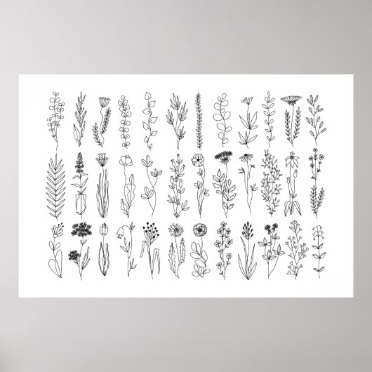 Poster De Dessin De Fleurs Et Herbes D'Encre (Devant)
