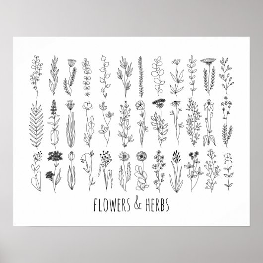 Poster De Dessin De Fleurs Et Herbes D'Encre (Devant)