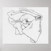 Poster de dessin de furet "Dragon dormant" (Devant)