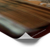 Poster de dessin de l'écrevisse DicofrAngle livre  (Coin)