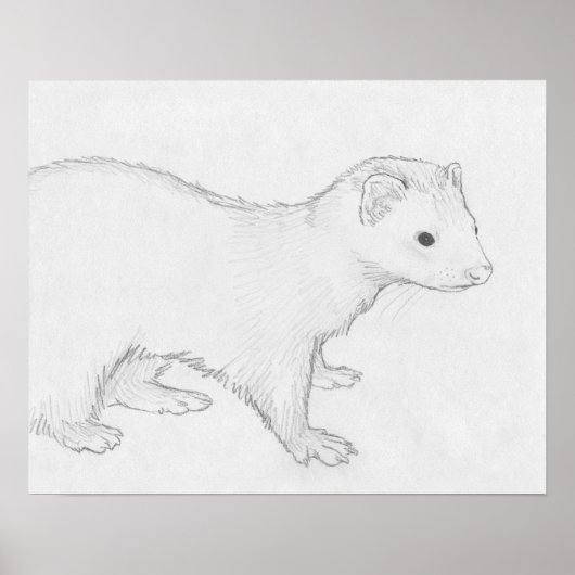 Poster de dessin de "Theo" Ferret (Devant)