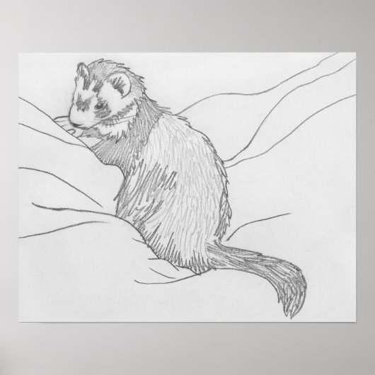Poster de dessin "Grouch" Ferret (Devant)
