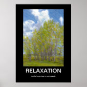Poster de détente démotivationnel (Devant)