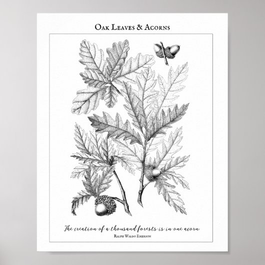 Poster de devis personnalisable Feuilles de chêne  (Devant)