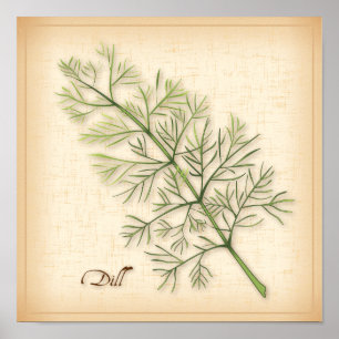 Poster de Dill Herb
