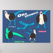 Poster de dinosaure - Orodromeus (Devant)