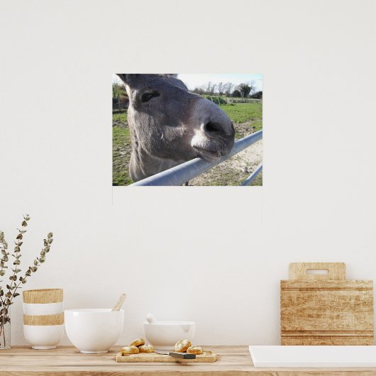 Poster de Donkey (Cuisine)