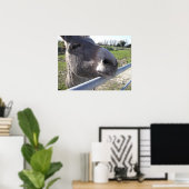 Poster de Donkey (Bureau à domicile)