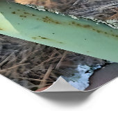 Poster de Donkey Love (Coin)