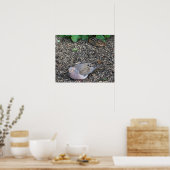Poster de Dove et Chipmunk en deuil (Cuisine)