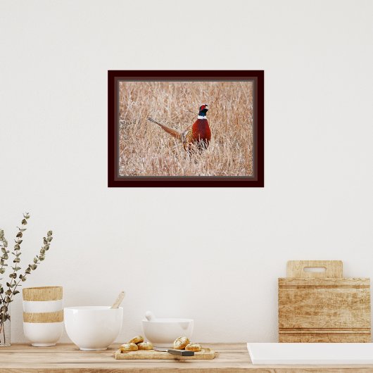 Poster de faisan à cou cerclé (Cuisine)
