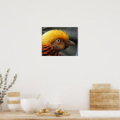 Poster de faisan d'or (Cuisine)