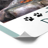 Poster de Feral Cats Deserty of Love (Coin)