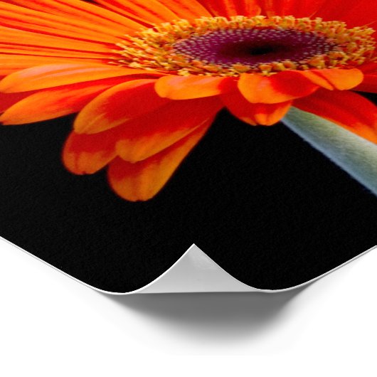 Poster de fermeture de la fleur (Coin)