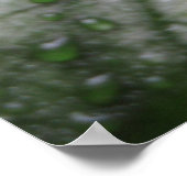 Poster de Feuilles mystiques (3) (Coin)