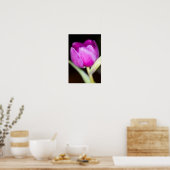 Poster de fleur de tulipe pourpre (Cuisine)