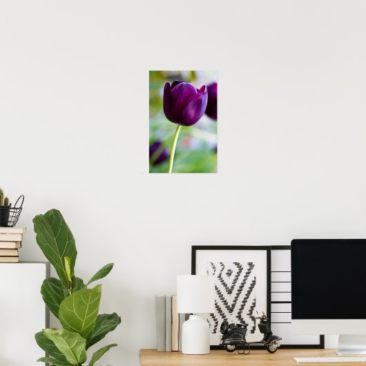 Poster de fleur de tulipe pourpre (Bureau à domicile)