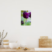 Poster de fleur de tulipe pourpre (Cuisine)