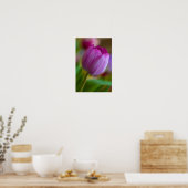 Poster de fleur de tulipe pourpre (Cuisine)