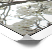 Poster de fleurs1 (Coin)