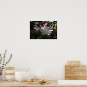 Poster de fleurs blanches et roses (Cuisine)