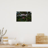 Poster de fleurs blanches et roses (Cuisine)