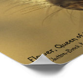 Poster de fleurs - Collection de Whiskers Royaux (Coin)