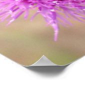 Poster de fleurs de chardon pourpre (Coin)