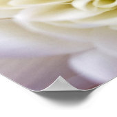 Poster de fleurs de Chyrsanthemum blanc (Coin)