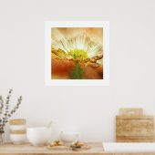 Poster de fleurs de coquelicot jaune (Cuisine)