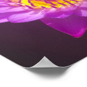Poster de fleurs de lotus violet (Coin)