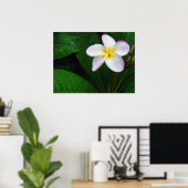 Poster de fleurs de Plumeria Hawaii jaune et blanc (Bureau à domicile)