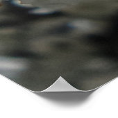 Poster de fleurs de prune (Coin)