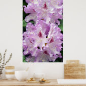 Poster de fleurs de rhododendron pourpre et blanc (Cuisine)