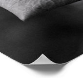 Poster de fleurs de rose noire et blanche (Coin)