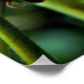 Poster de fleurs de soie persane (Coin)