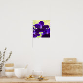 Poster de fleurs de Streptocarpus pourpre (Cuisine)