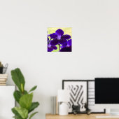 Poster de fleurs de Streptocarpus pourpre (Bureau à domicile)