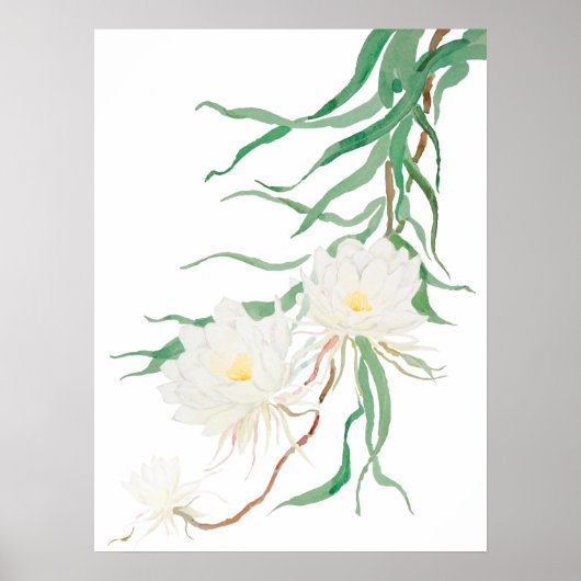 poster de fleurs d'épiphyllum blanc (Devant)