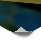 Poster de fleurs d'oeufs de Magnolia Sud (Coin)