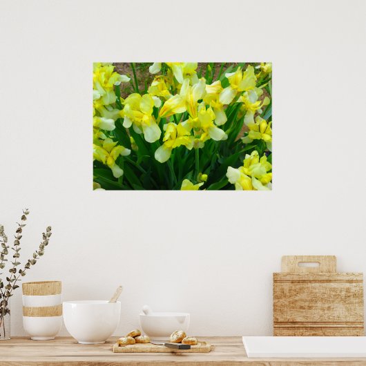 Poster de fleurs en iris jaune (Cuisine)
