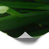 Poster de fleurs en iris jaune (Coin)