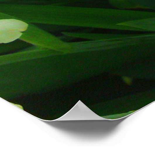 Poster de fleurs en iris jaune (Coin)