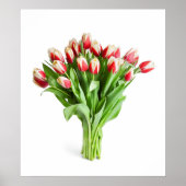 Poster de fleurs exquises - Tulipes (Devant)