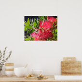 Poster de fleurs florales australiennes en brosse (Cuisine)